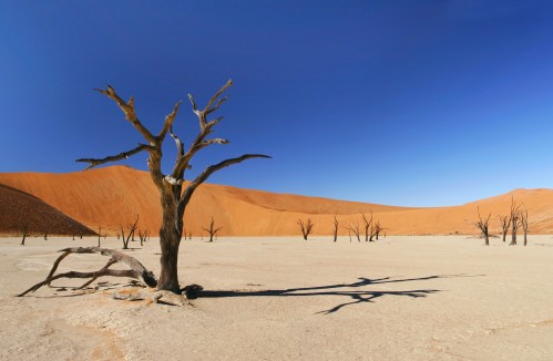 Desert, Namibia